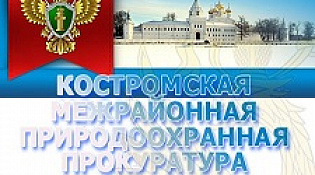 Всероссийский день приема предпринимателей в органах прокуратуры